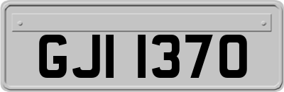 GJI1370