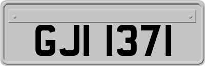 GJI1371