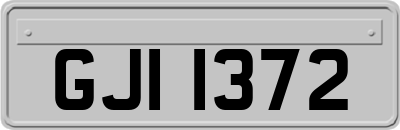 GJI1372