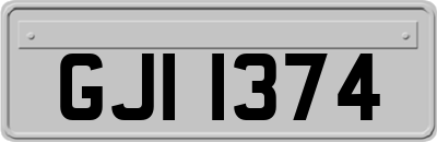 GJI1374