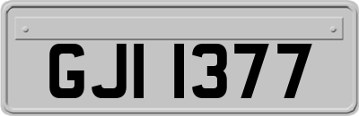 GJI1377