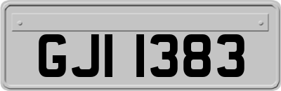 GJI1383