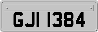GJI1384