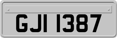 GJI1387