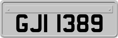 GJI1389
