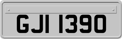 GJI1390