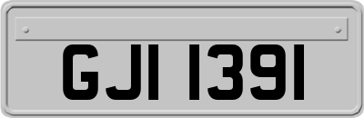 GJI1391