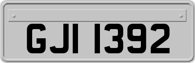 GJI1392