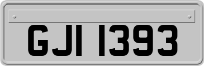 GJI1393