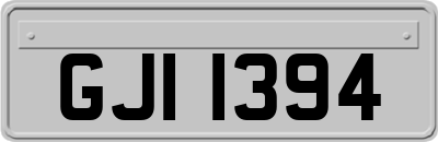 GJI1394