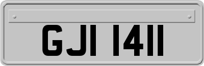 GJI1411