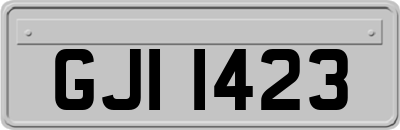 GJI1423