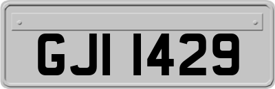 GJI1429