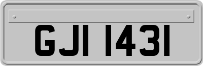 GJI1431