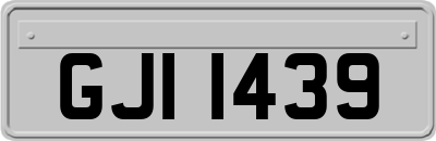 GJI1439