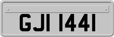 GJI1441