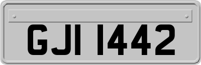 GJI1442