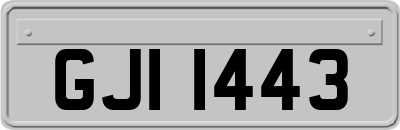 GJI1443