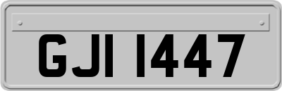 GJI1447