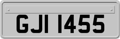 GJI1455
