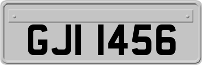 GJI1456