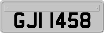 GJI1458