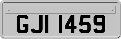 GJI1459