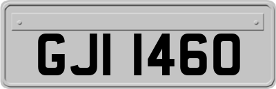 GJI1460