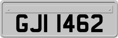 GJI1462