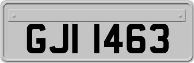 GJI1463