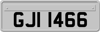 GJI1466