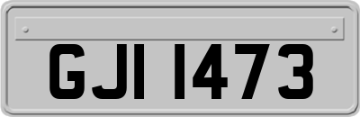 GJI1473