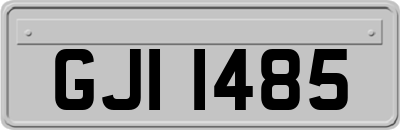 GJI1485
