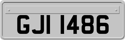 GJI1486
