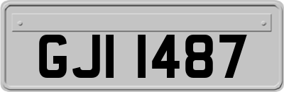 GJI1487