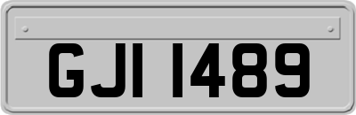 GJI1489
