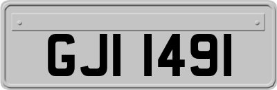 GJI1491