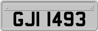 GJI1493