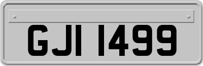 GJI1499