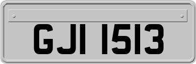 GJI1513