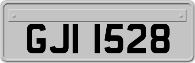 GJI1528
