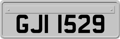GJI1529