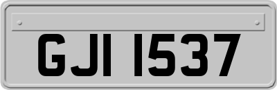 GJI1537