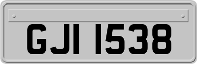 GJI1538