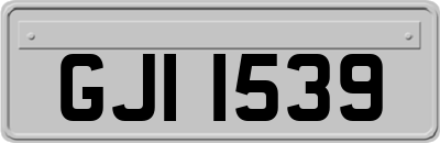 GJI1539