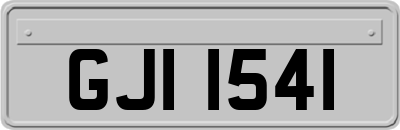 GJI1541