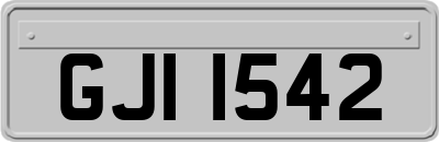 GJI1542