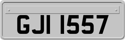 GJI1557
