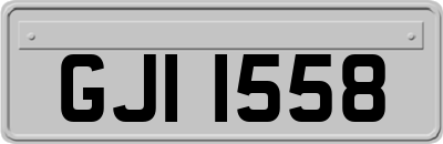 GJI1558