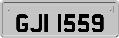 GJI1559